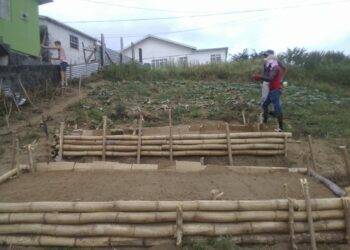 Home garden beds we built Home garden beds we built