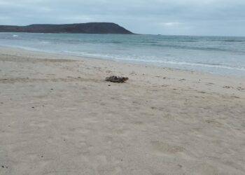 IMG-20240731-WA0005